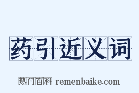 药引近义词是什么意思的图片